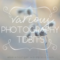 Various Photography Tidbits